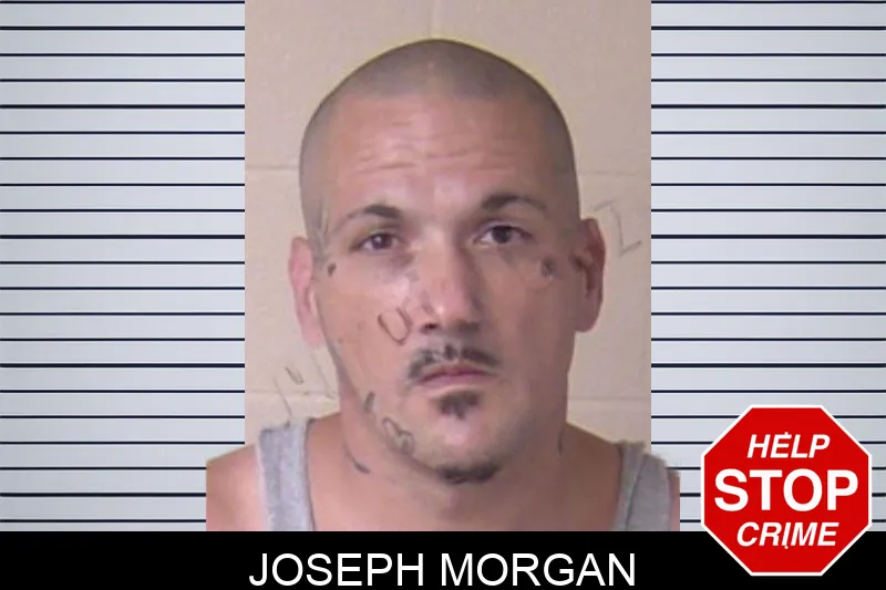 Joseph Morgan mugshot
