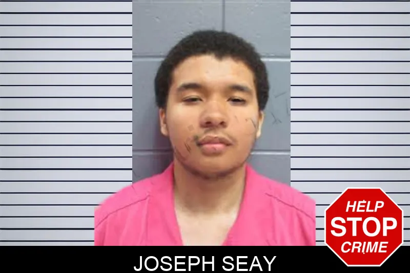 Joseph Seay mugshot