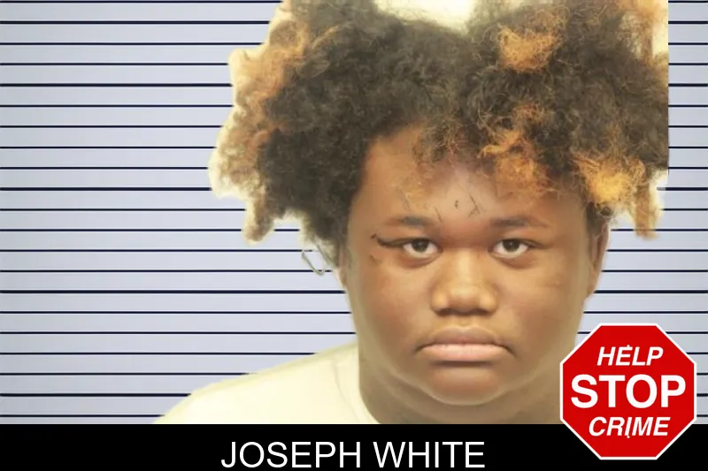 Joseph White mugshot