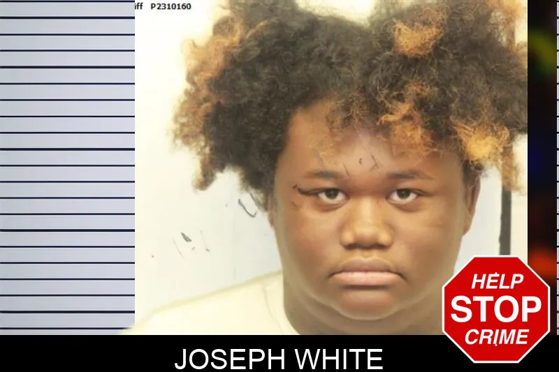 Joseph White mugshot – Chatham County , Georgia Joseph White mugshot