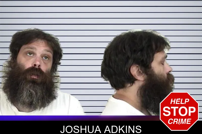 Joshua Adkins mugshot