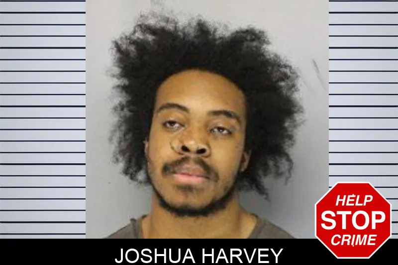 Joshua Harvey mugshot