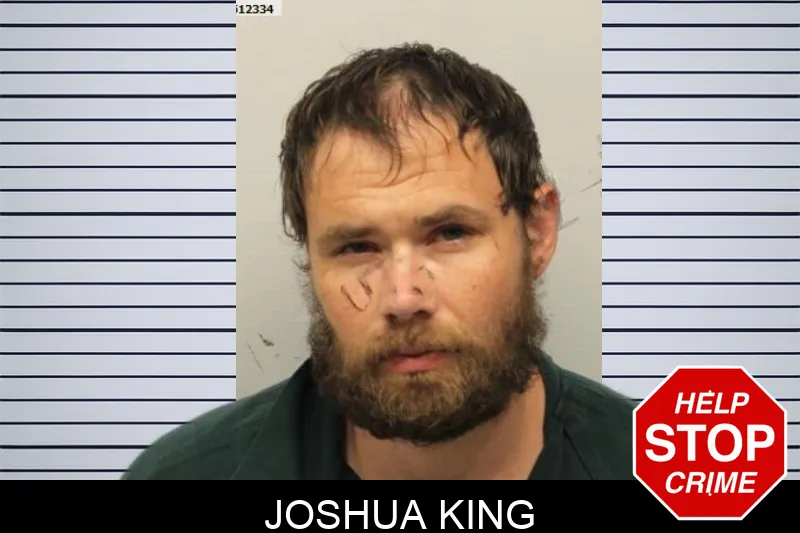 Joshua King mugshot