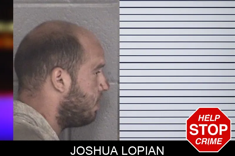 Joshua Lopian mugshot