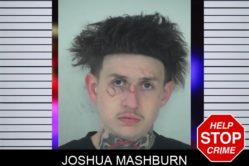 Joshua Mashburn mugshot
