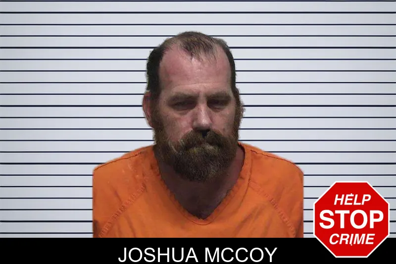 Joshua McCoy mugshot
