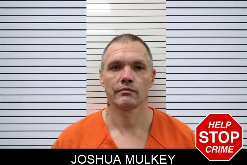 Joshua Mulkey mugshot – Pickens County , Georgia Joshua Mulkey mugshot