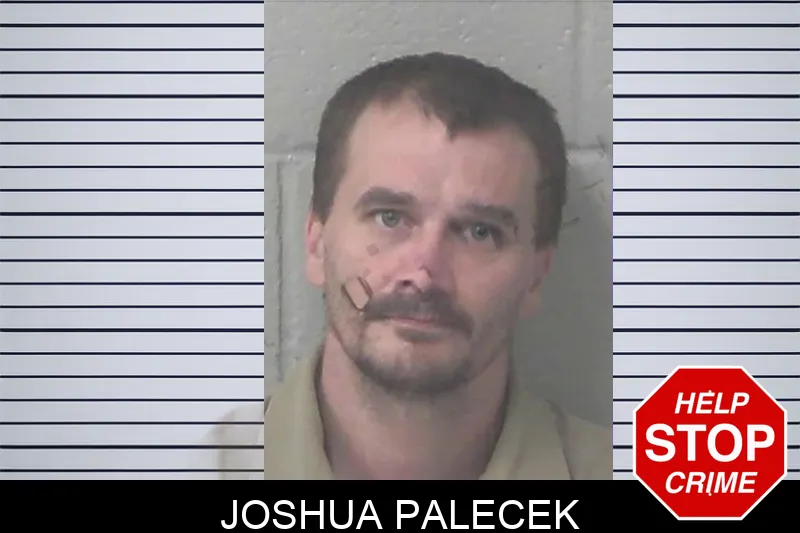 Joshua Palecek mugshot