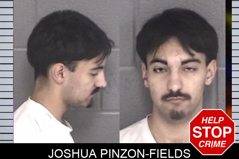 Joshua Pinzon-Fields mugshot