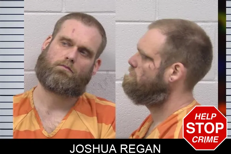 Joshua Regan mugshot