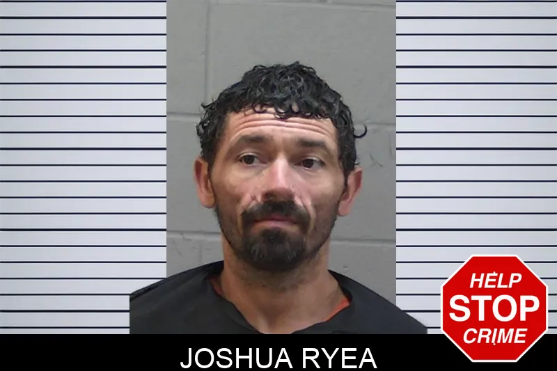 Joshua Ryea mugshot