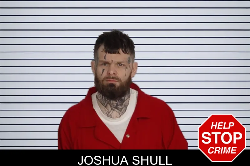 Joshua Shull mugshot