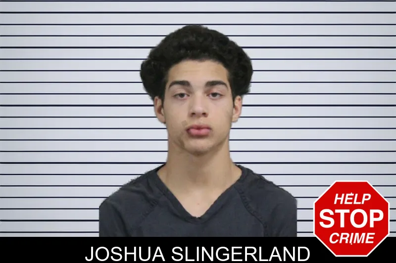 Joshua Slingerland mugshot – Catoosa County , Georgia Joshua Slingerland mugshot