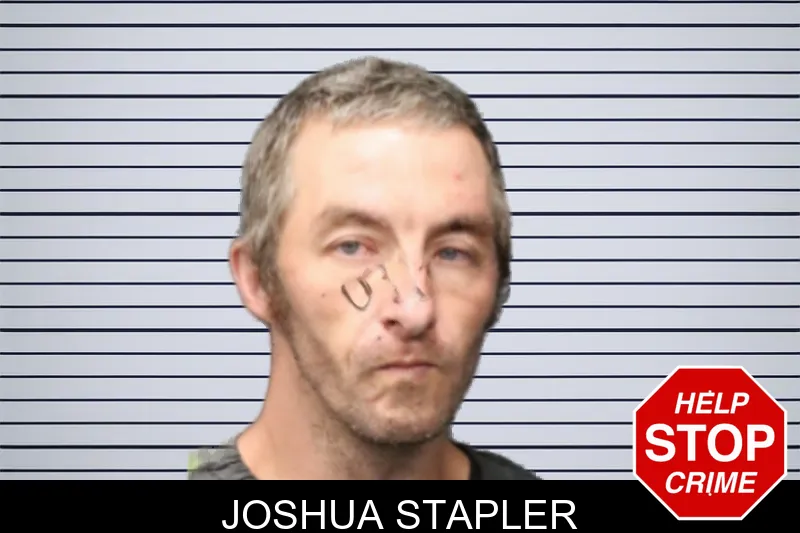 Joshua Stapler mugshot
