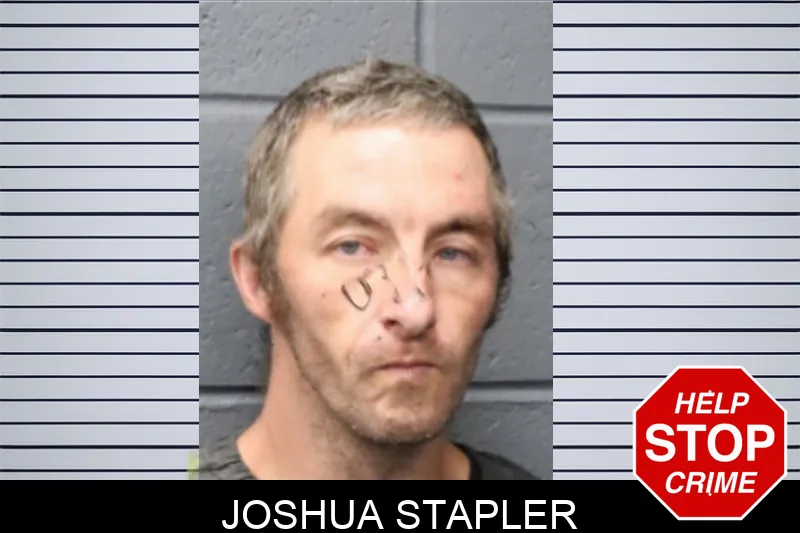 Joshua Stapler mugshot – Forsyth County , Georgia Joshua Stapler mugshot