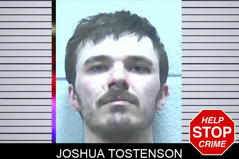 Joshua Tostenson mugshot