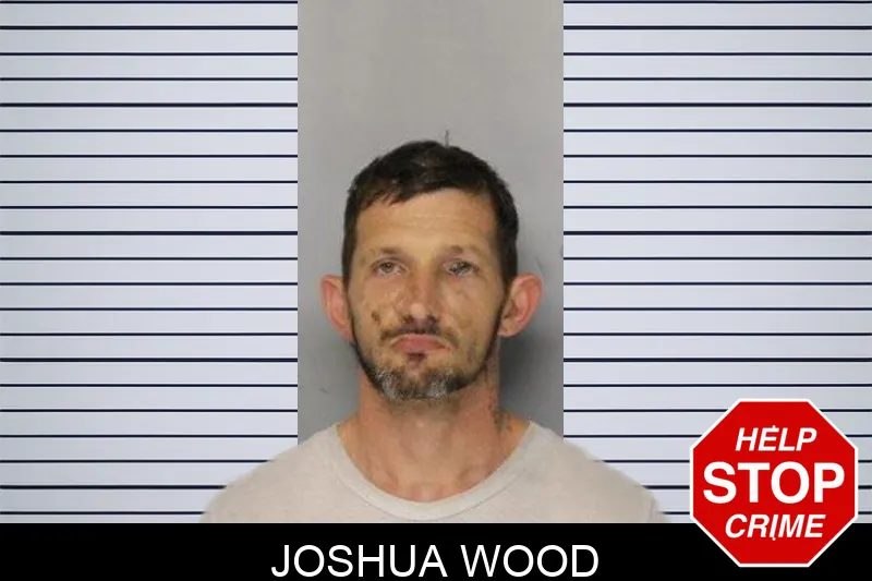 Joshua Wood mugshot