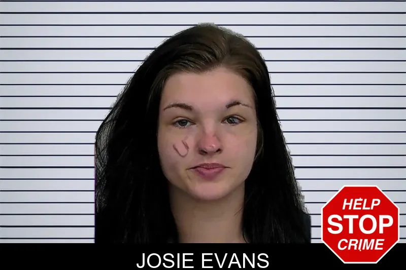 Josie Evans mugshot – Jeff Davis County , Georgia Josie Evans mugshot