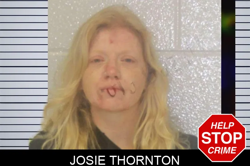 Josie Thornton mugshot