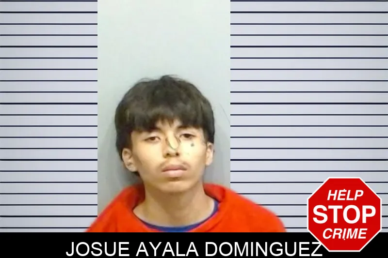 Josue Ayala Dominguez mugshot