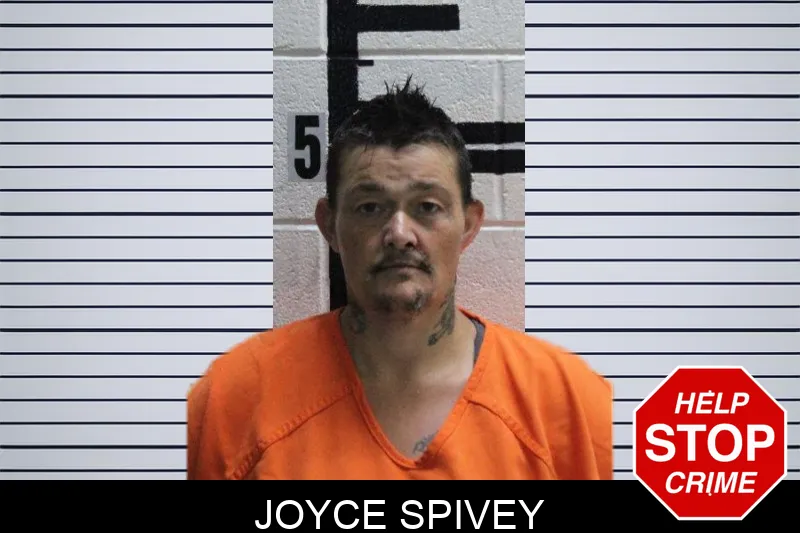 Joyce Spivey mugshot – Murray County , Georgia Joyce Spivey mugshot