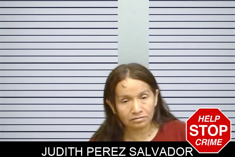 Judith Perez Salvador mugshot