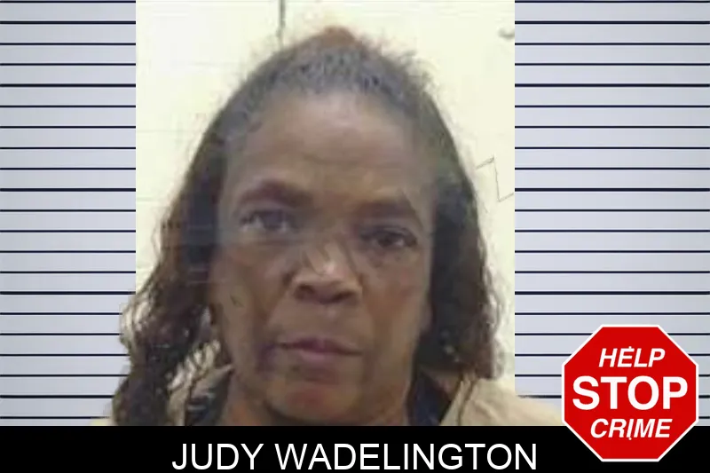 Judy Wadelington mugshot