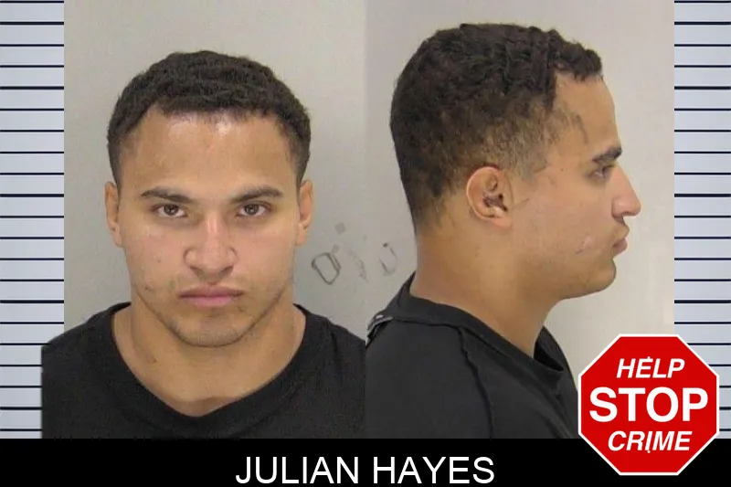 Julian Hayes mugshot