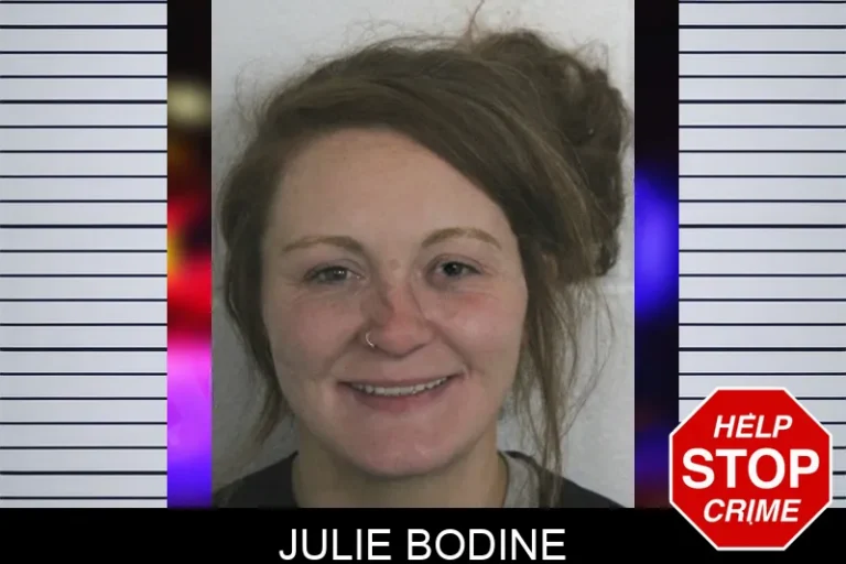 Julie Bodine mugshot – Floyd County , Georgia Julie Bodine