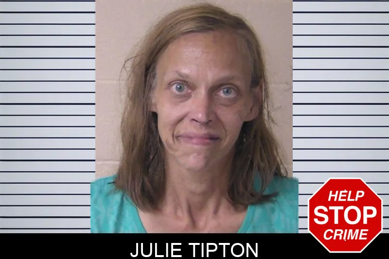 Julie Tipton mugshot