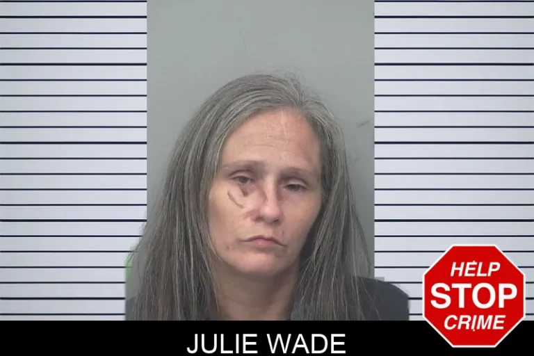 Julie Wade mugshot – Gwinnett County , Georgia Julie Wade