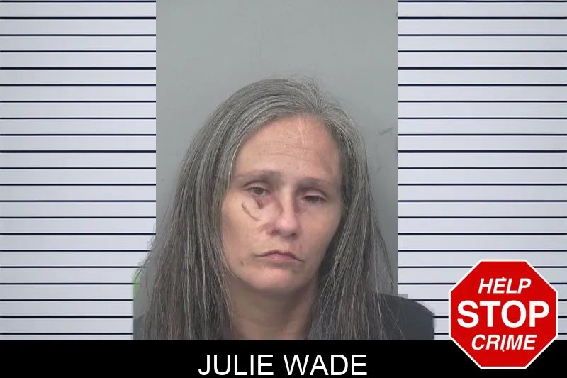 Julie Wade mugshot