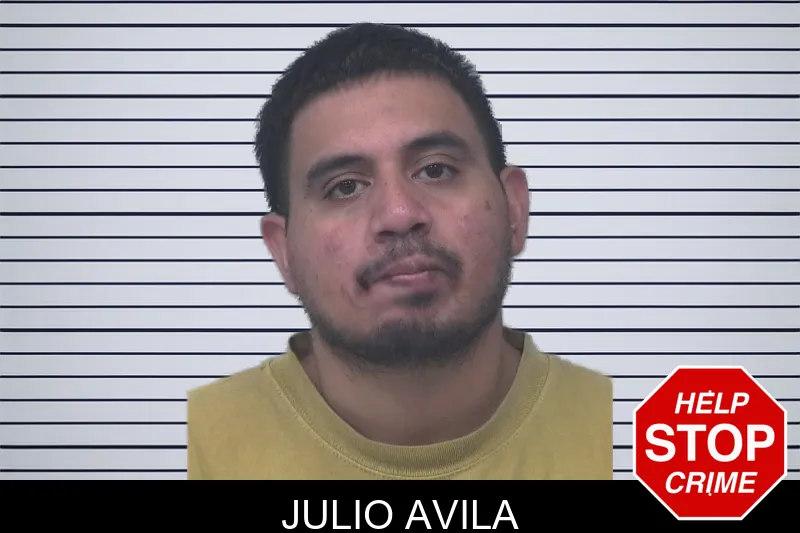 Julio Avila mugshot