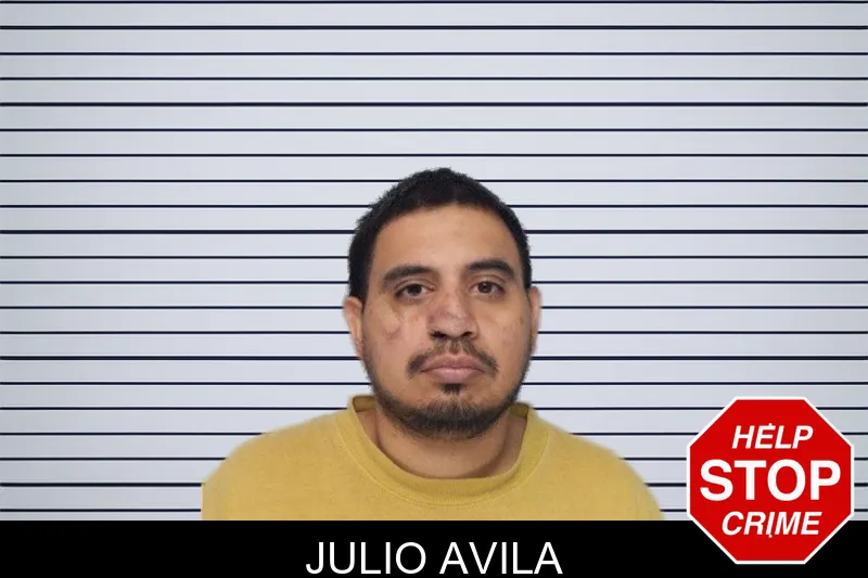 Julio Avila mugshot – Hall County , Georgia Julio Avila mugshot