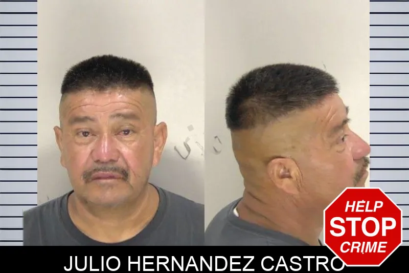 Julio Hernandez Castro mugshot
