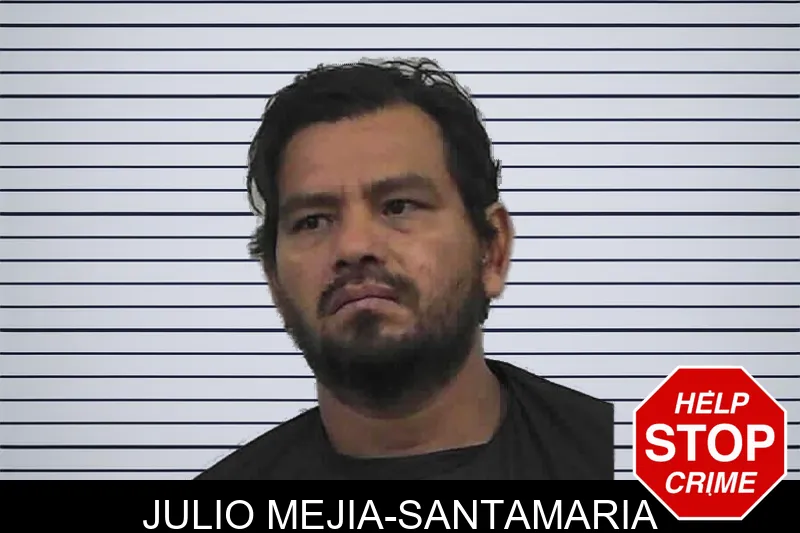 Julio Mejia-Santamaria mugshot