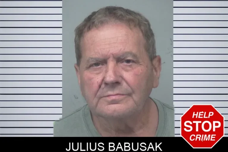 Julius Babusak mugshot – Gwinnett County , Georgia Julius Babusak