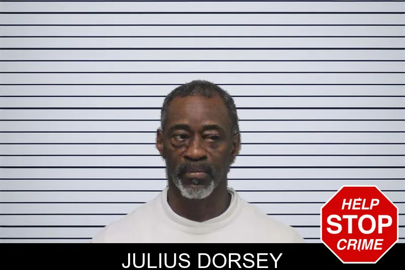 Julius Dorsey mugshot – White County , Georgia Julius Dorsey mugshot