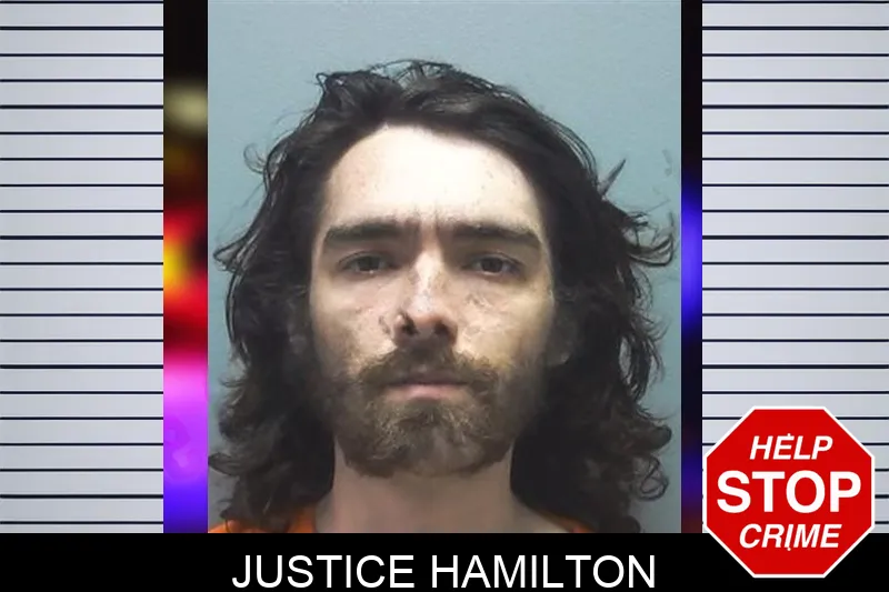 Justice Hamilton mugshot – Cherokee County , Georgia Justice Hamilton mugshot