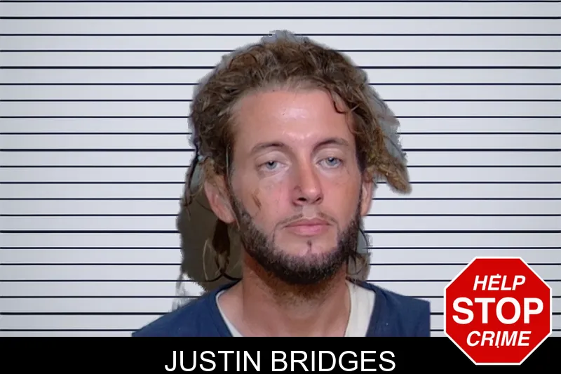Justin Bridges mugshot