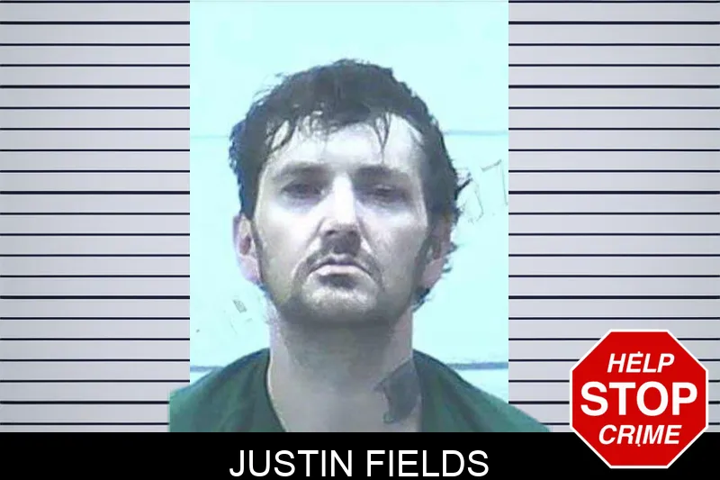 Justin Fields mugshot