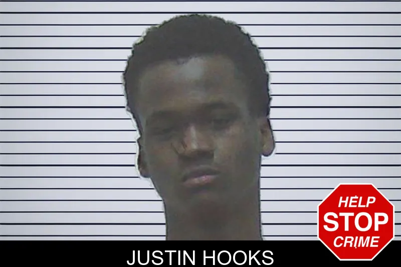 Justin Hooks mugshot – Worth County , Georgia Justin Hooks mugshot