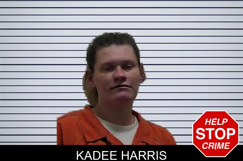 Kadee Harris mugshot