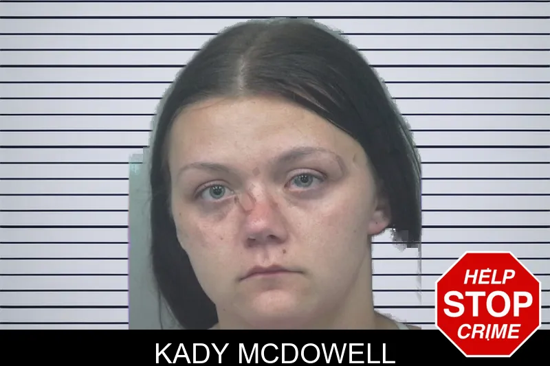 Kady McDowell mugshot – Gwinnett County , Georgia Kady McDowell mugshot