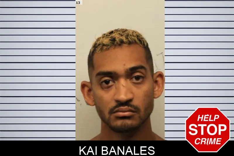 Kai Banales mugshot