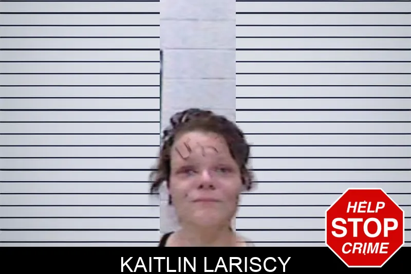 Kaitlin Lariscy mugshot