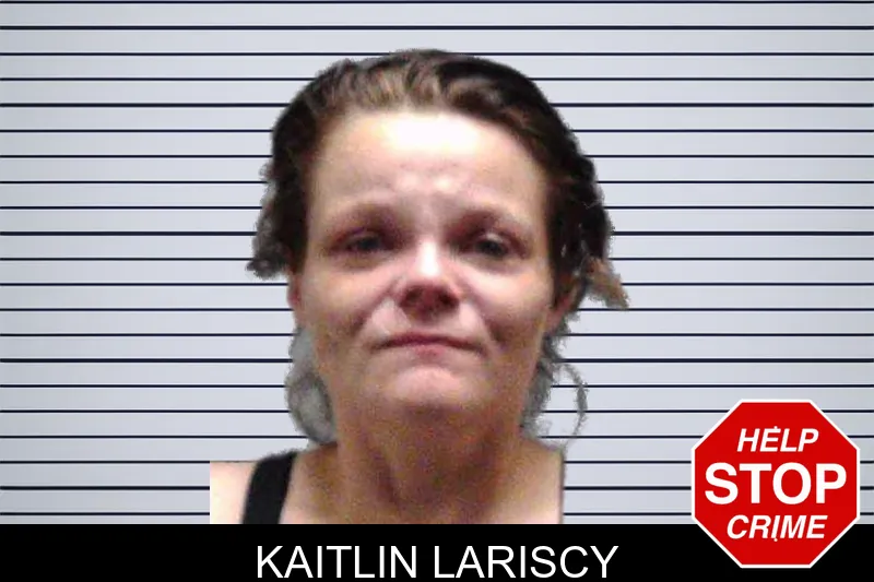 Kaitlin Lariscy mugshot