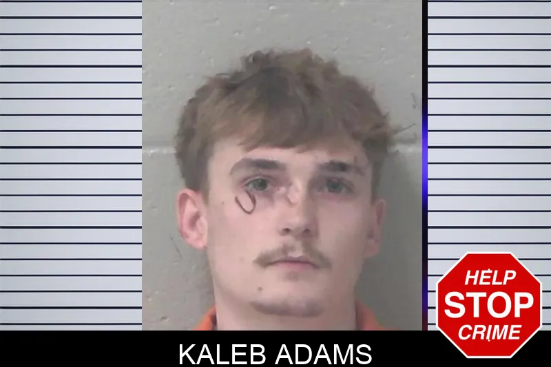 Kaleb Adams mugshot