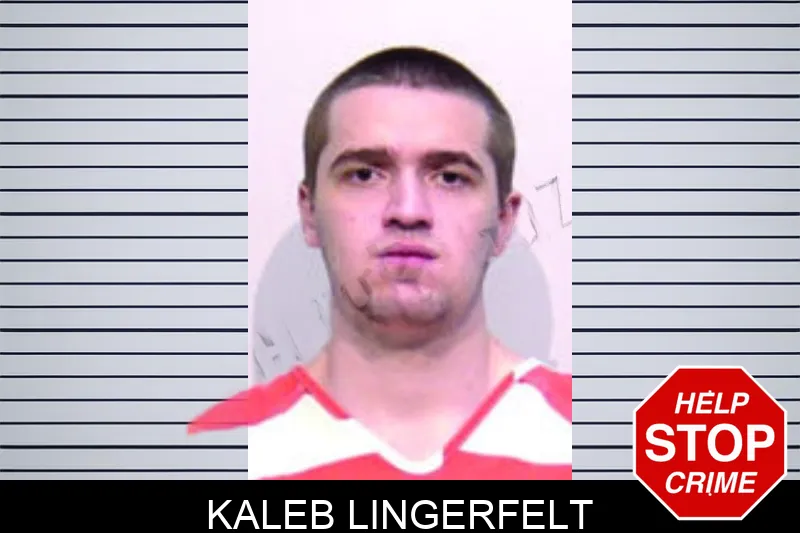 Kaleb Lingerfelt mugshot