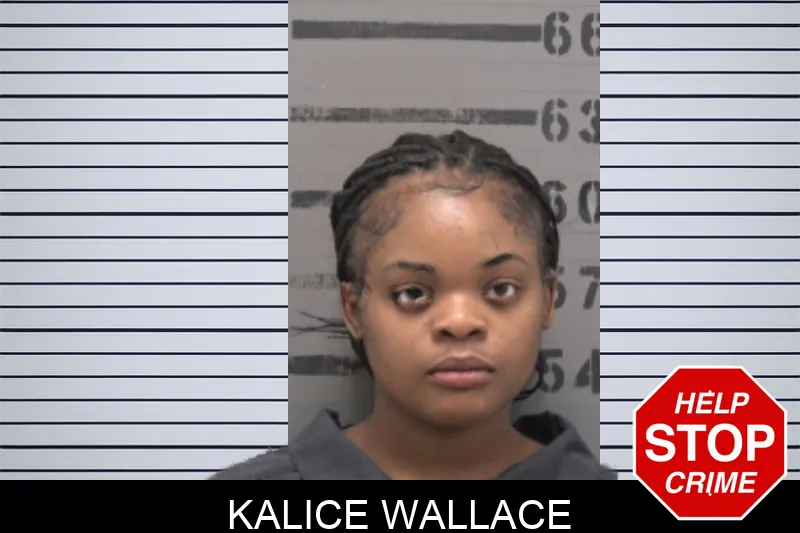 Kalice Wallace mugshot – Dougherty County , Georgia Kalice Wallace mugshot